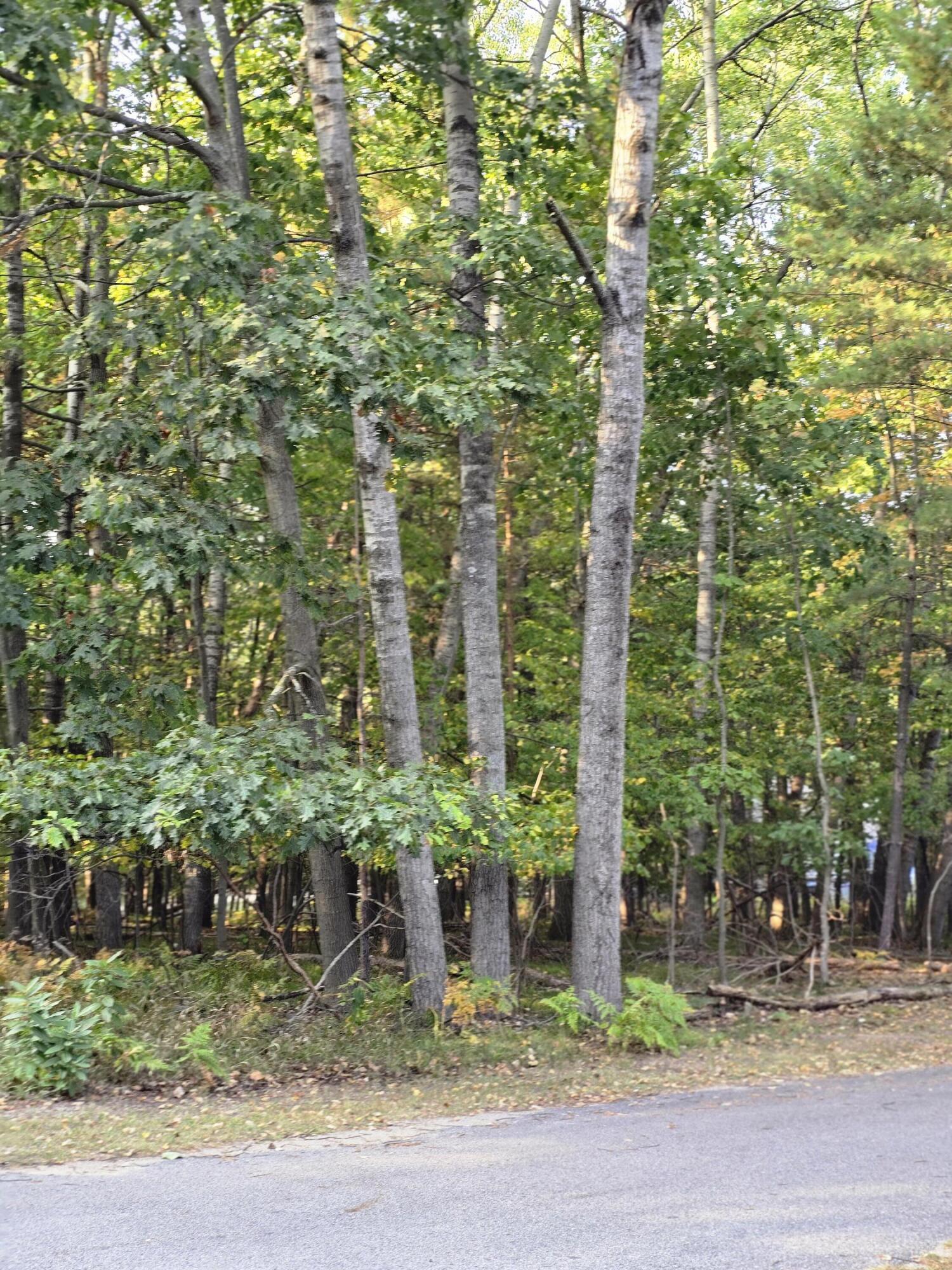 6718 Beechnut Ridge Canadian Lakes, MI 49346 - Photo 7 of 13 20250920_173929