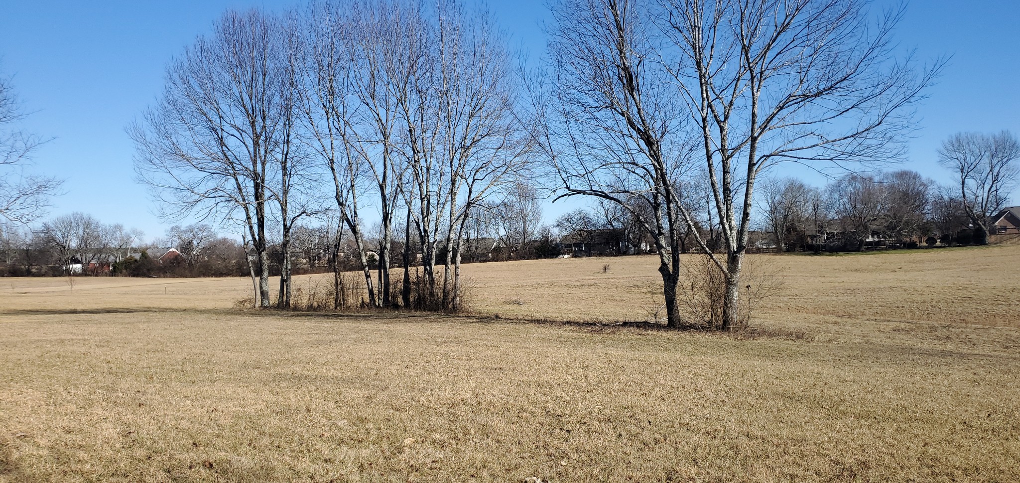 66 Pleasant Valley Road Ethridge, TN 38456 - Photo 8 of 9 Gallery Image 8