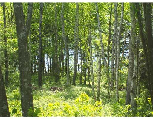 0 East Side Road Machiasport, ME 04655 - Photo 1 of 1 Land/Lot.