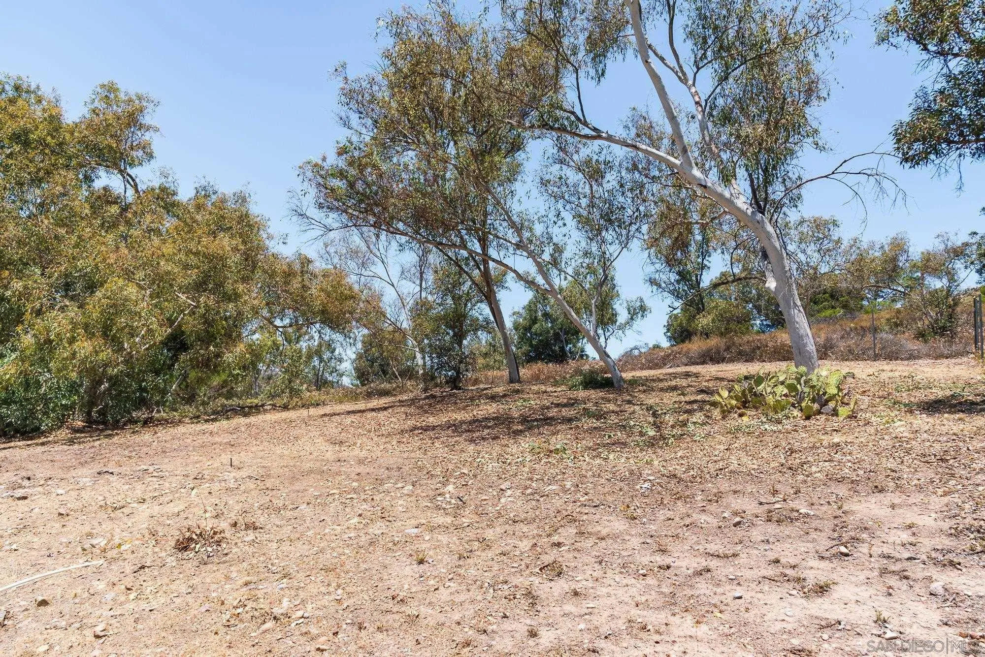 13926 Carriage Road Poway, CA 92064 - Photo 40 of 54 a view of a yard with a tree