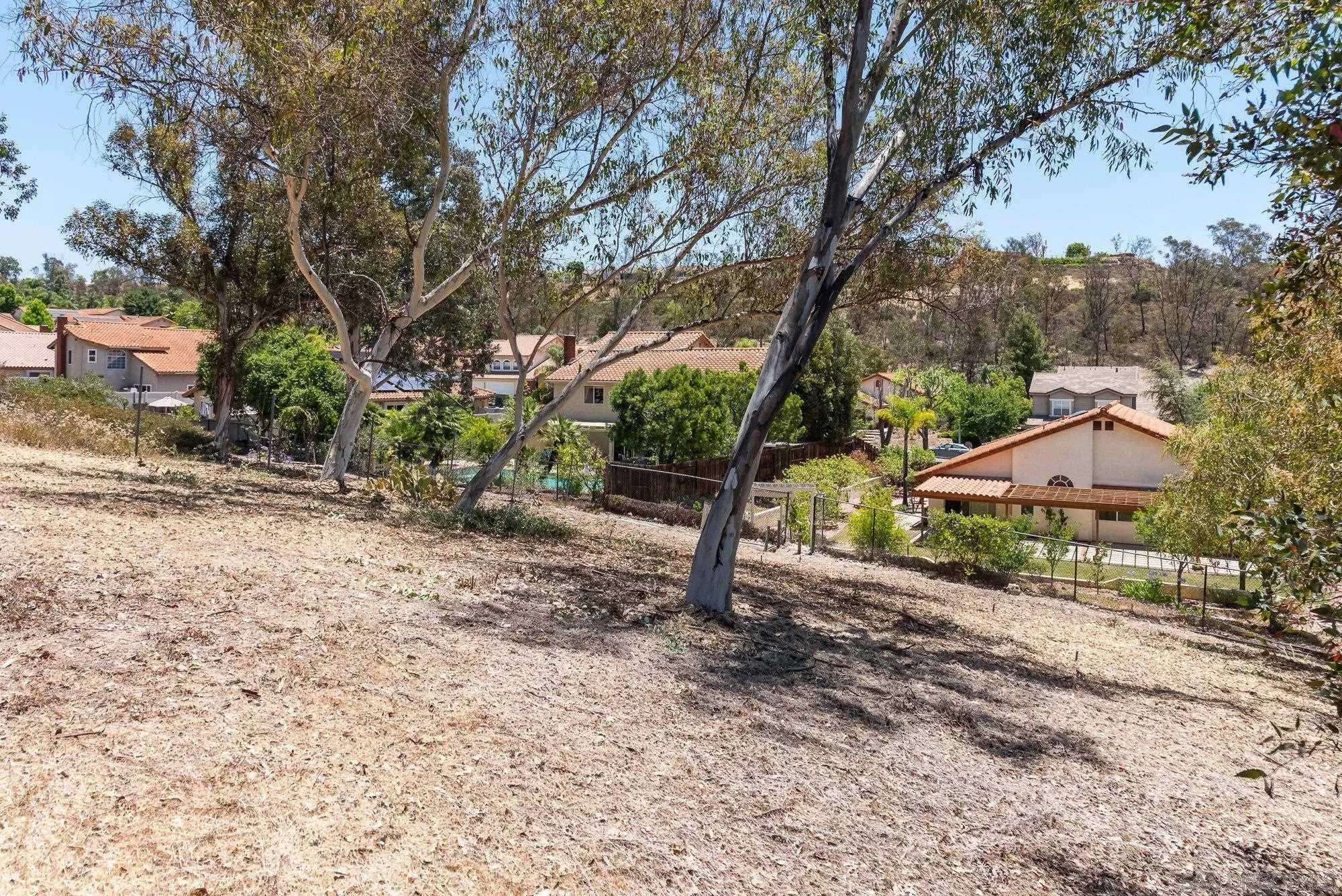 13926 Carriage Road Poway, CA 92064 - Photo 44 of 54 a backyard of a house with lots of green space