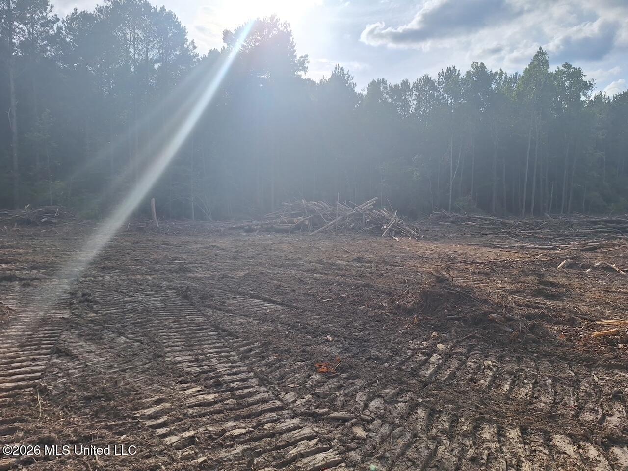 709 Old Pinola Braxton Road Braxton, MS 39044 - Photo 10 of 19 4575028692233752252