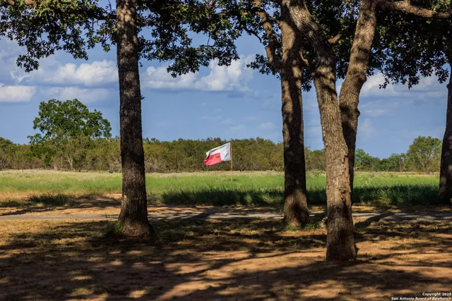 a view of a yard with an tree