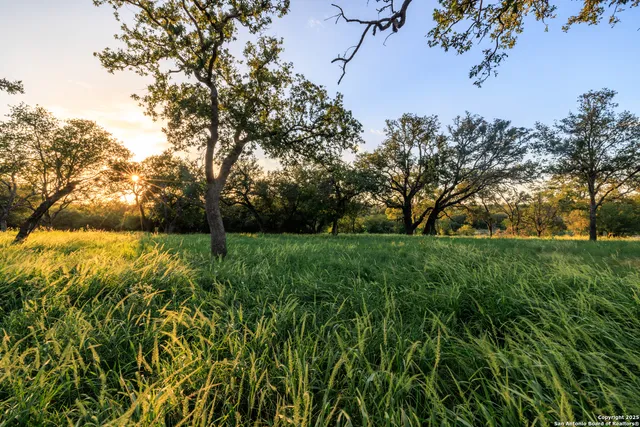 a view of backyard with green space