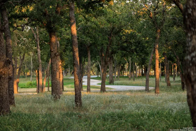 a view of park space
