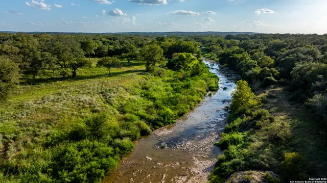 a view of a yard with plants