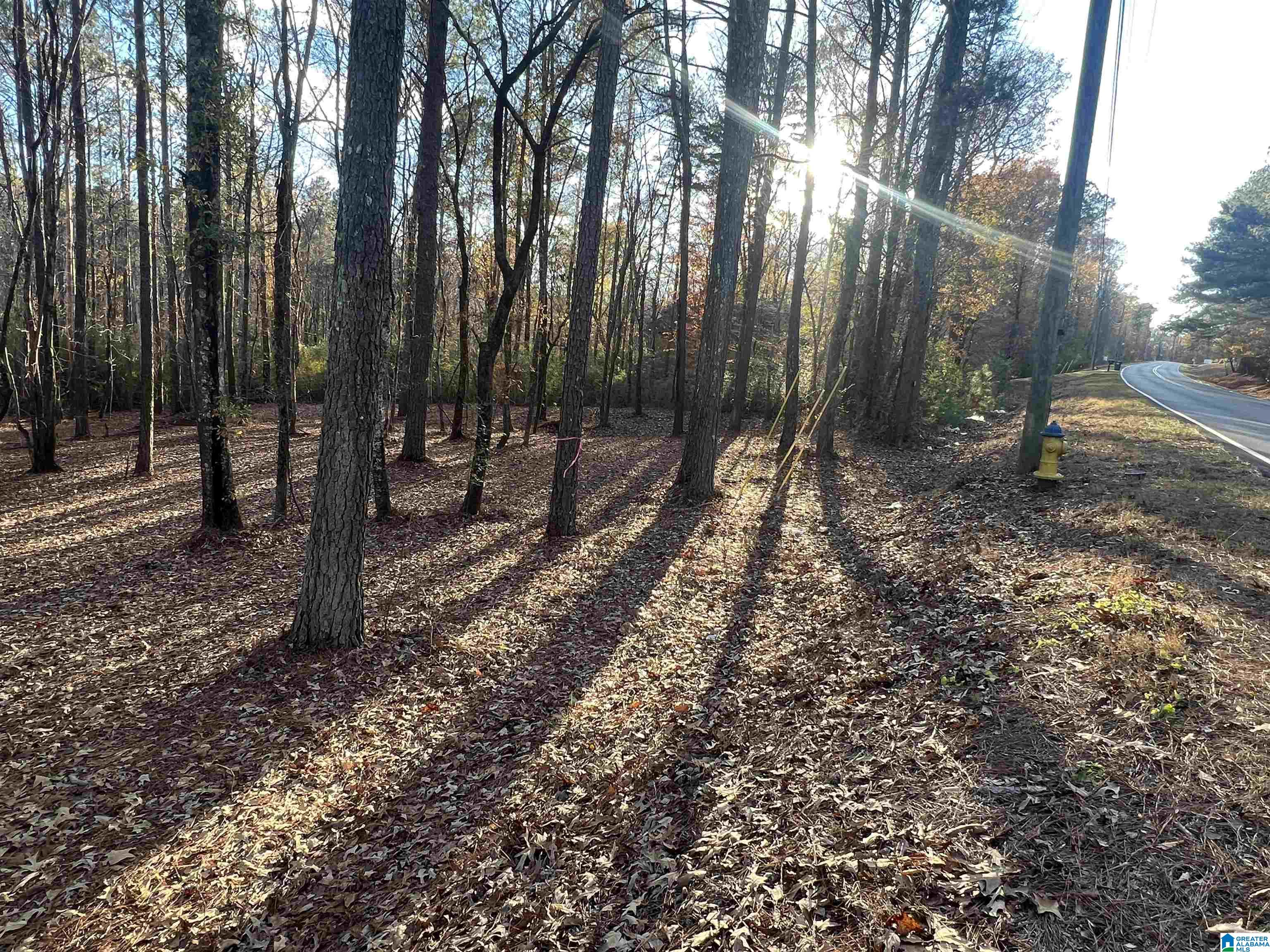 7643 Roper Road, Unit 18A Trussville, AL 35173 - Photo 2 of 3