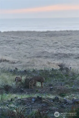 $1,799,000 | 27208 J Lane, Ocean Park, WA 98640