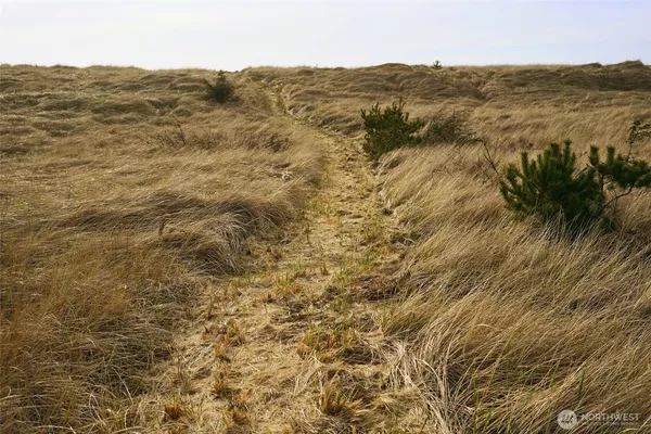 $1,799,000 | 27208 J Lane, Ocean Park, WA 98640