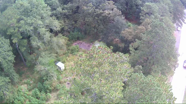 $150,000 | 6336 North Road, North, SC 29112