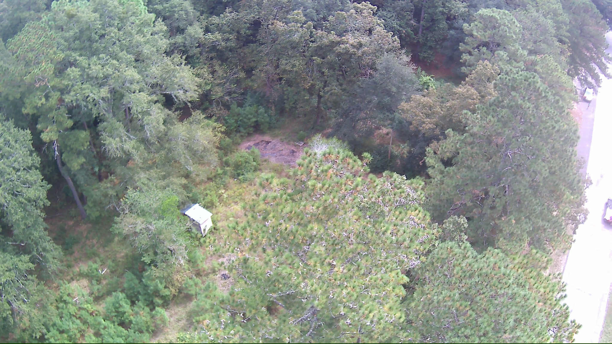 6336 North Road North, SC 29112 - Photo 12 of 27 Aerial 4