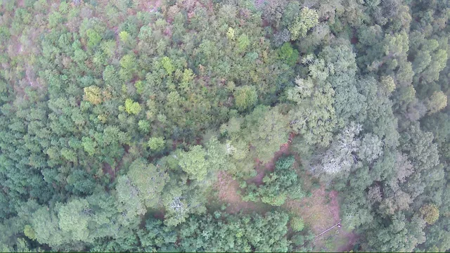 $150,000 | 6336 North Road, North, SC 29112