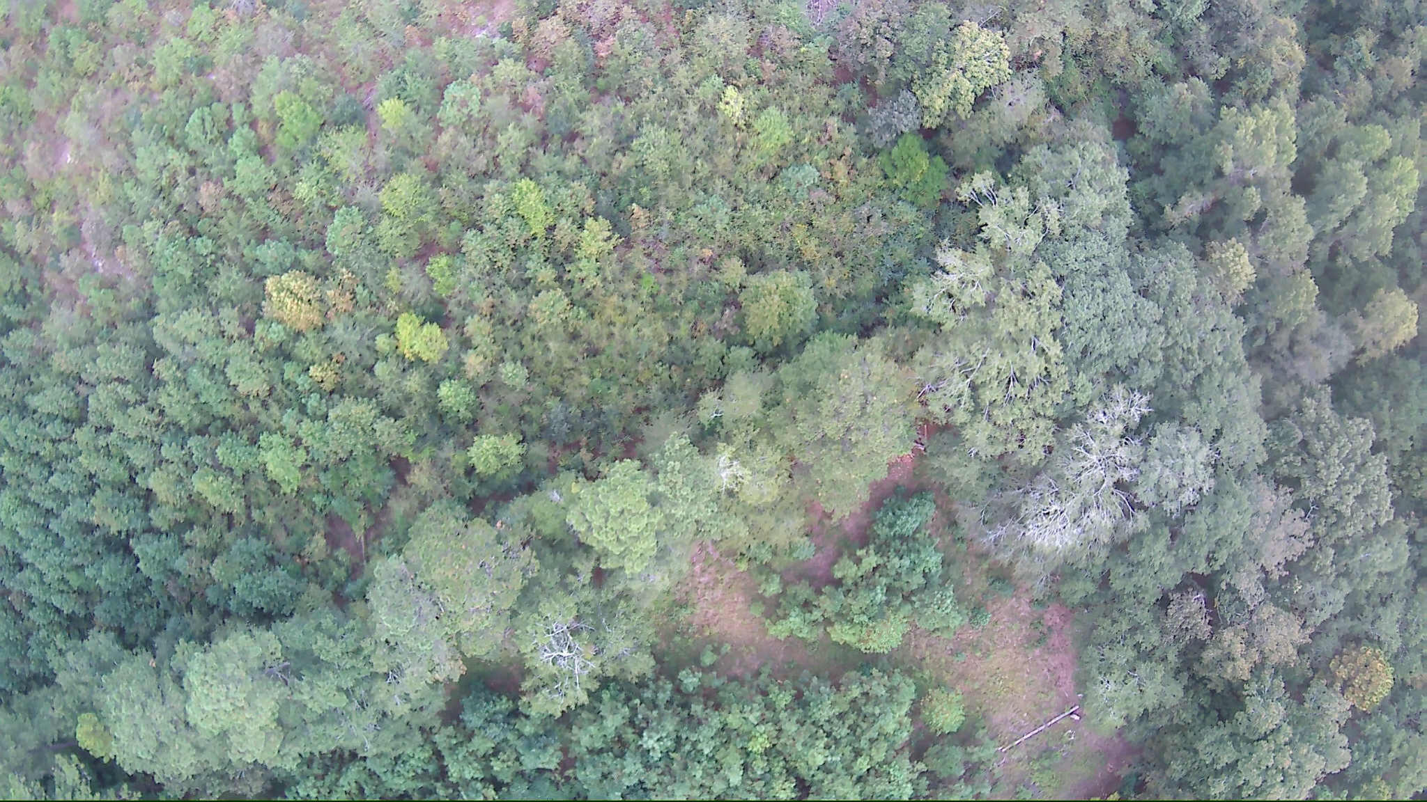 6336 North Road North, SC 29112 - Photo 18 of 27 Aerial 10