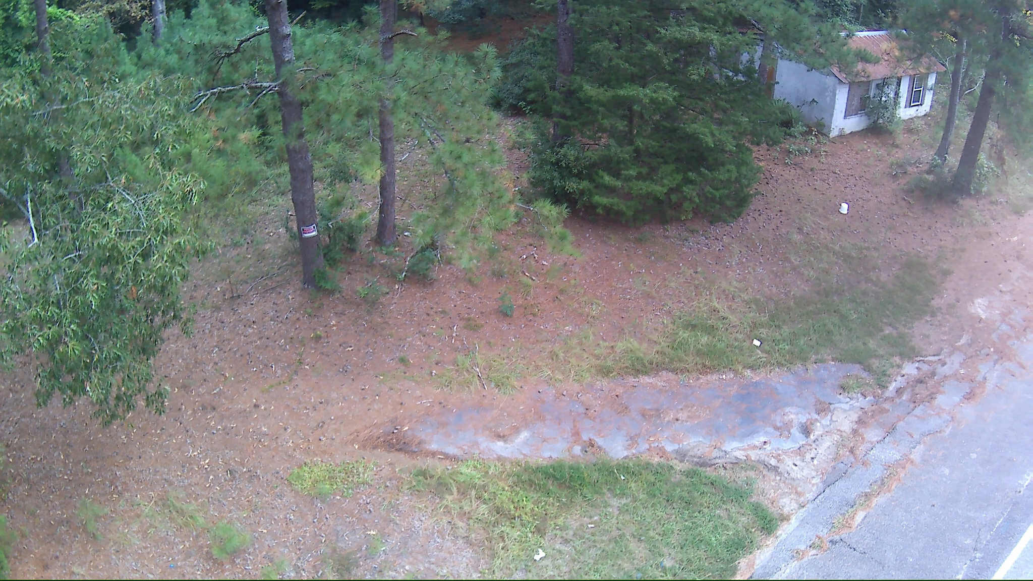 6336 North Road North, SC 29112 - Photo 4 of 27 Road frontage