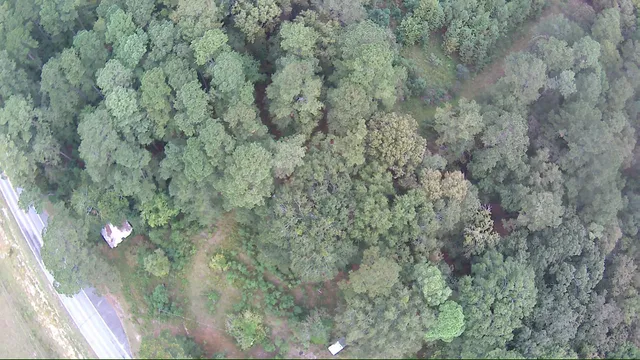 $150,000 | 6336 North Road, North, SC 29112