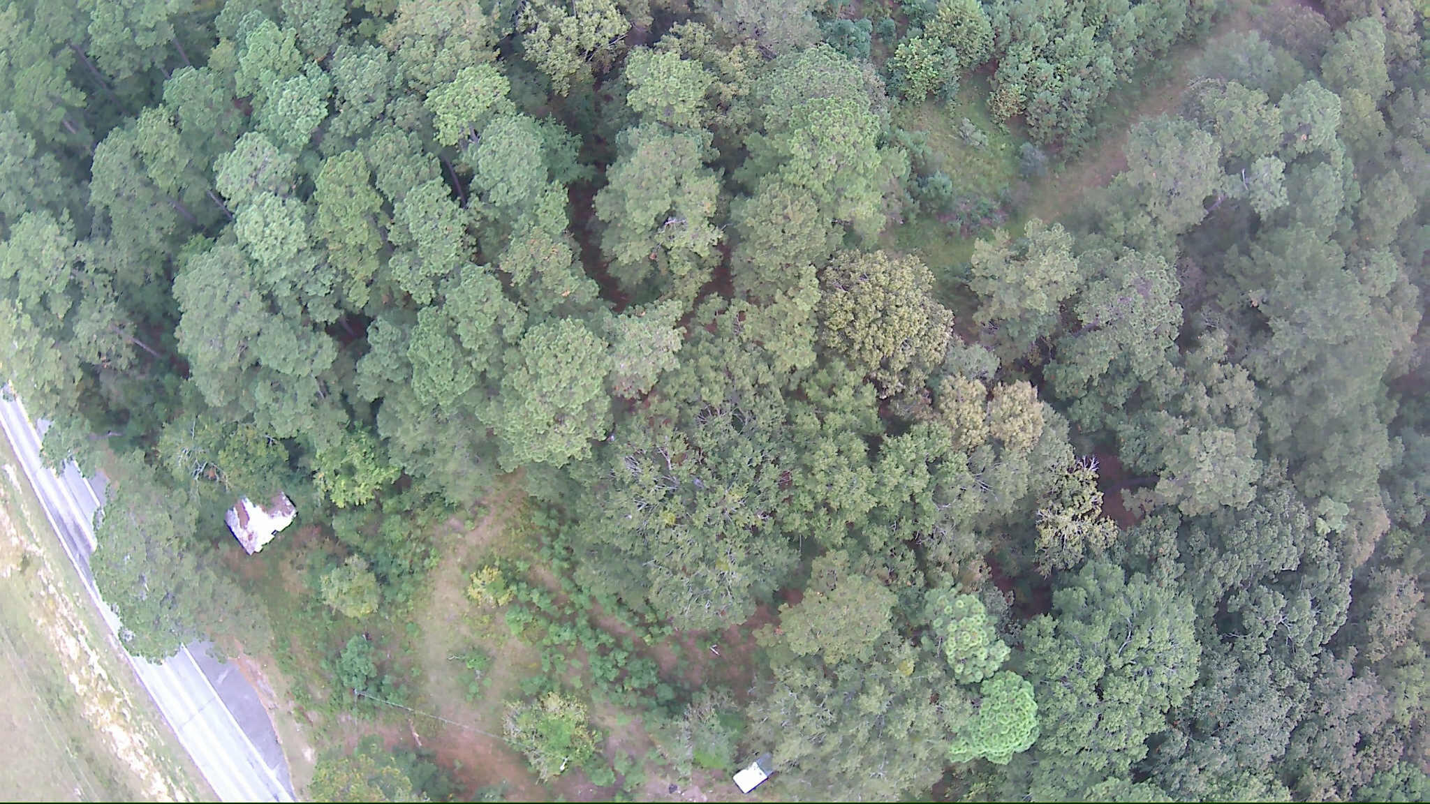 6336 North Road North, SC 29112 - Photo 5 of 27 att._XS3eYgKgTAPEZ4Ag4ChlSXEpaVMjbv03c8J