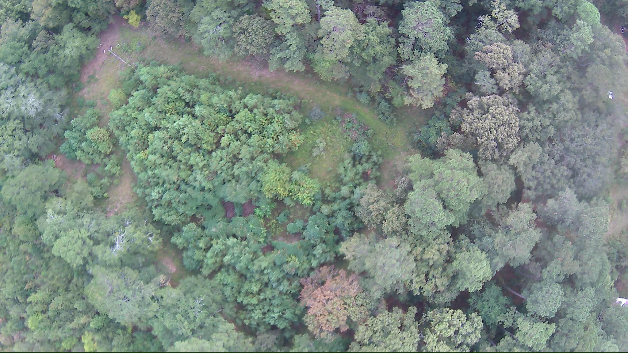 6336 North Road North, SC 29112 - Photo 8 of 27 Aerial 1