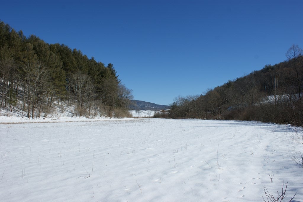 Tbd Spring Valley Road, Unit 1 & 2 Fries, VA 24330 - Photo 10 of 19 Gallery Image 10