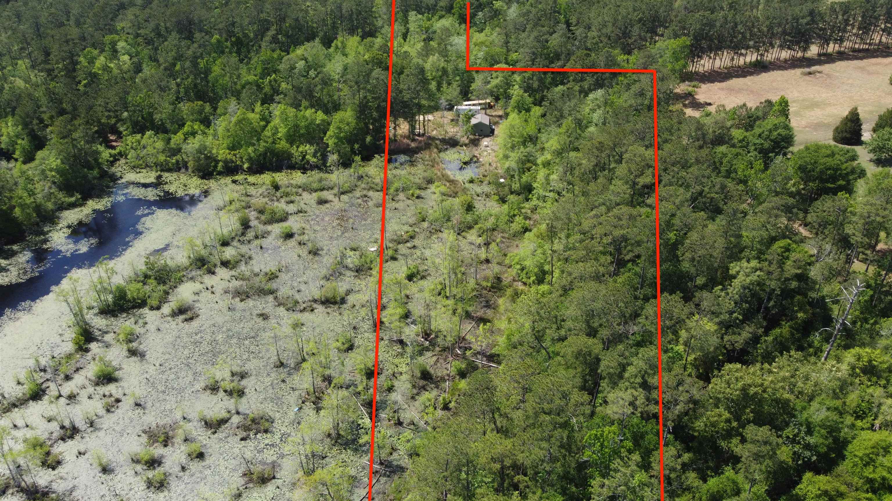 Tbd South Mill Creek Road Silsbee, TX 77656 - Photo 7 of 15