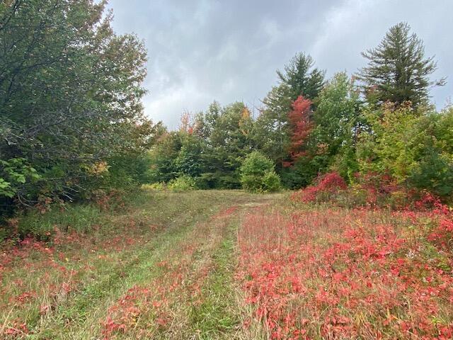 41 Packard Road Monson, ME 04464 - Photo 2 of 9 IMG_3817