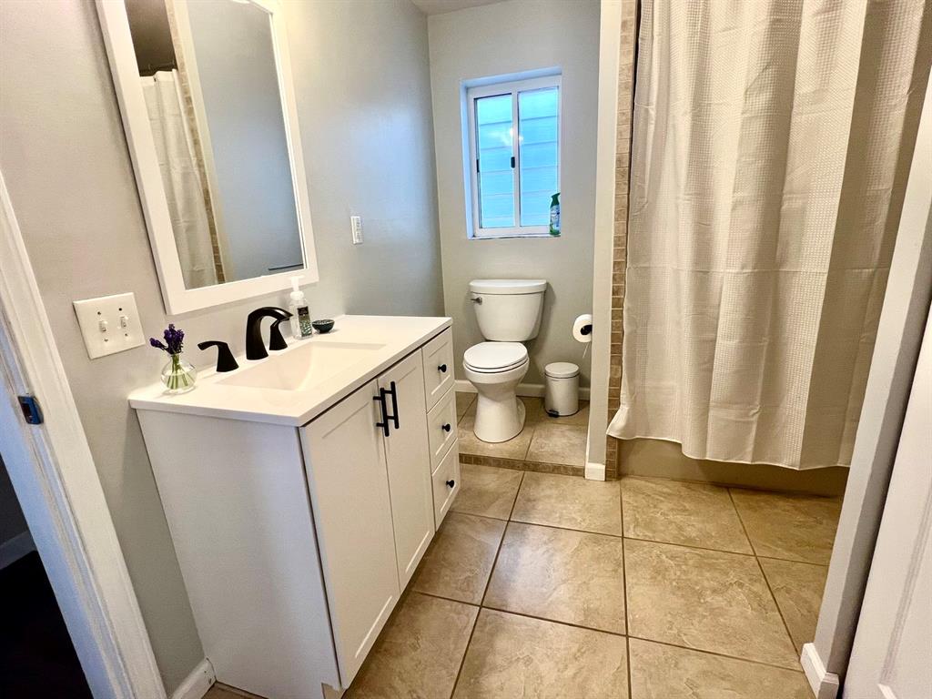 237 Lelia Street Pittsburgh, PA 15211 - Photo 34 of 46 a bathroom with a sink a toilet a mirror and a window