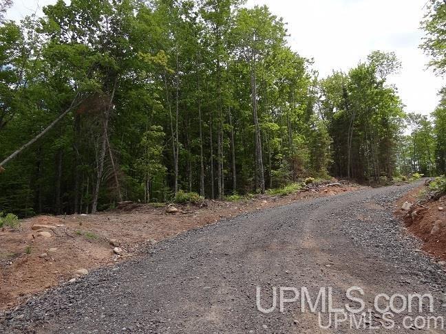 Tbd Crooked Road Chassell, MI 49916 - Photo 14 of 18 Gallery Image 14