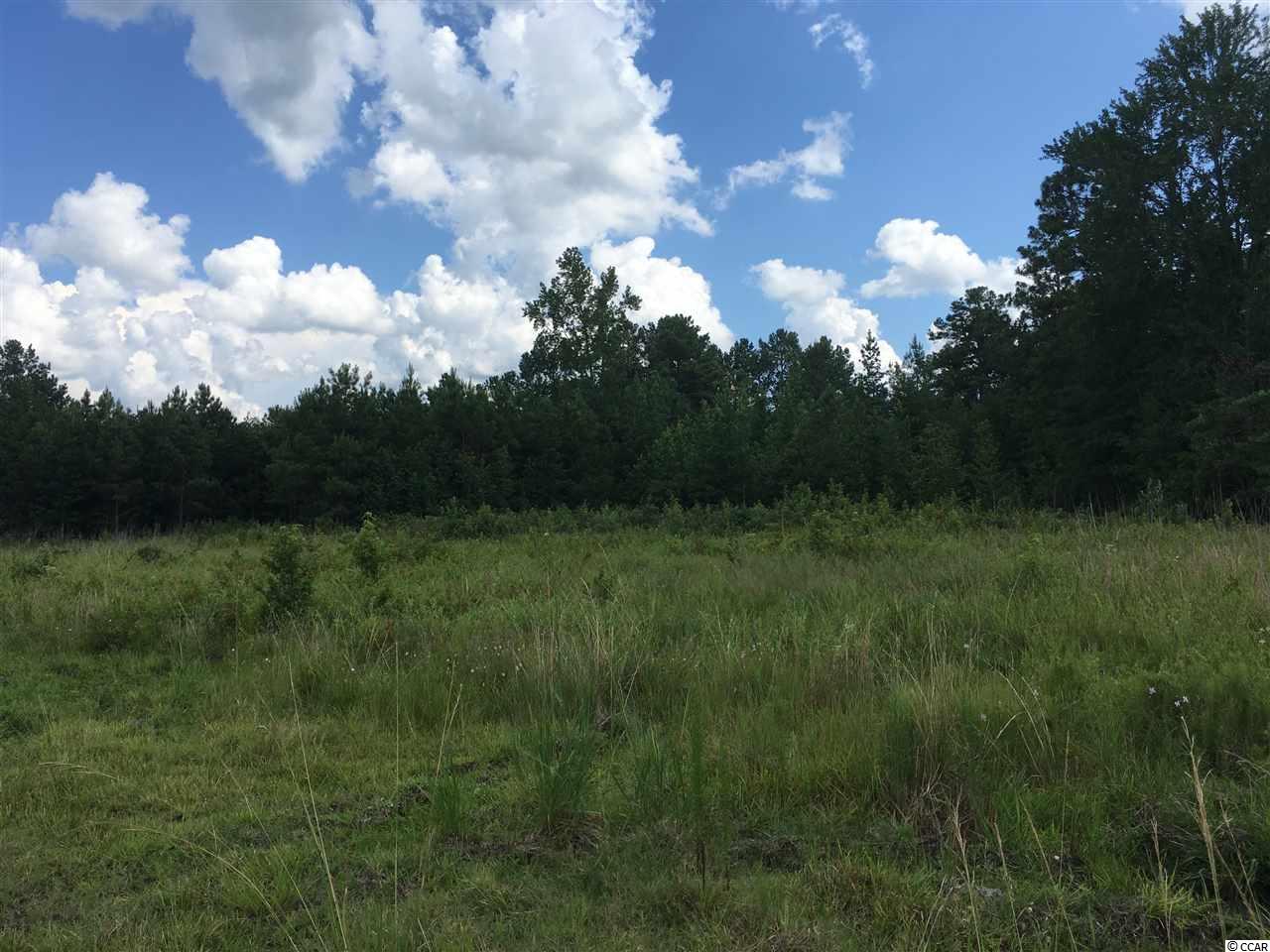 Retired Avenue Marion, SC 29571 - Photo 1 of 1 Gallery Image 1