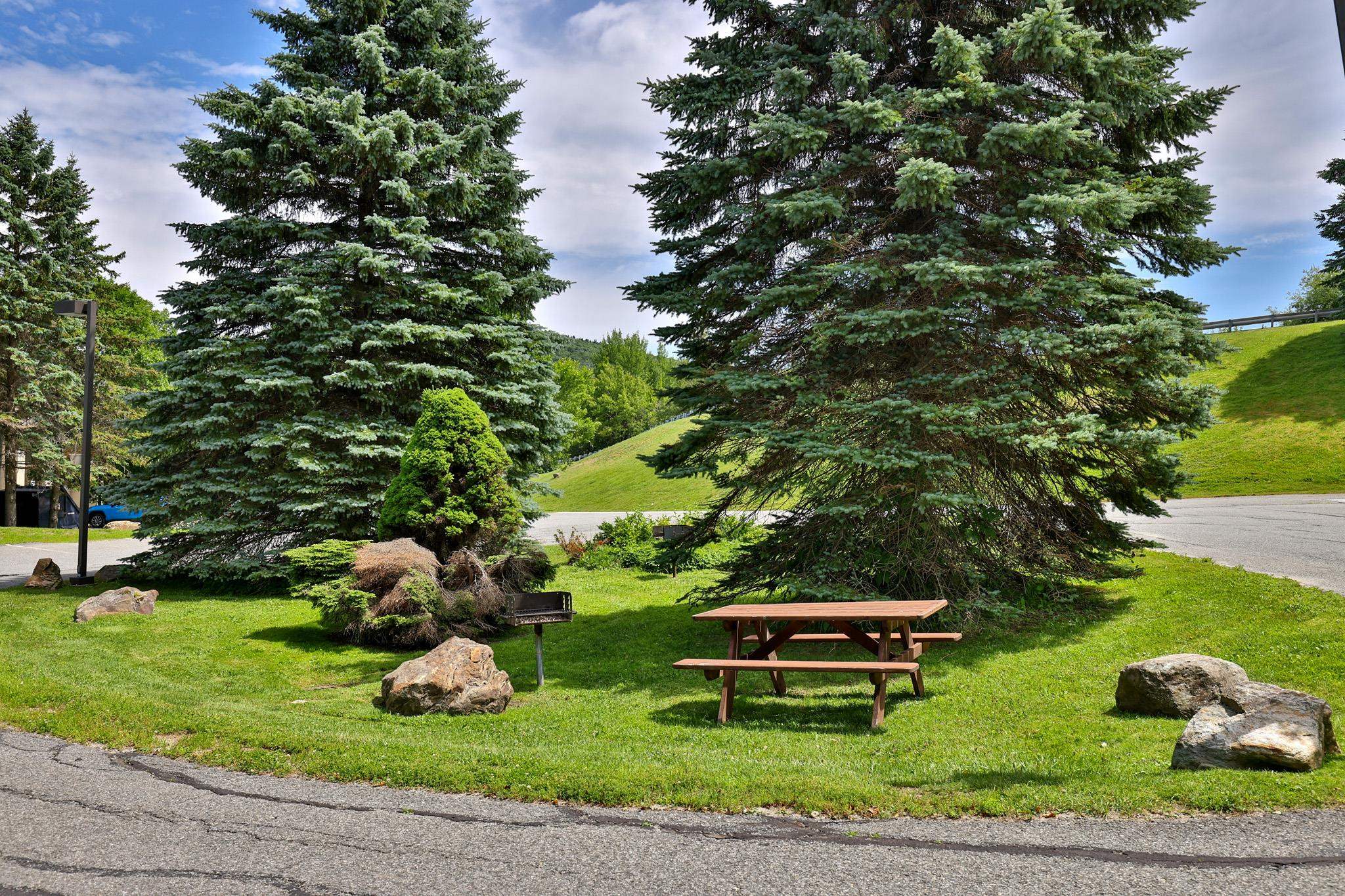 203 Old Mill Road, Unit 5 Killington, VT 05751 - Photo 25 of 39 Gallery Image 25