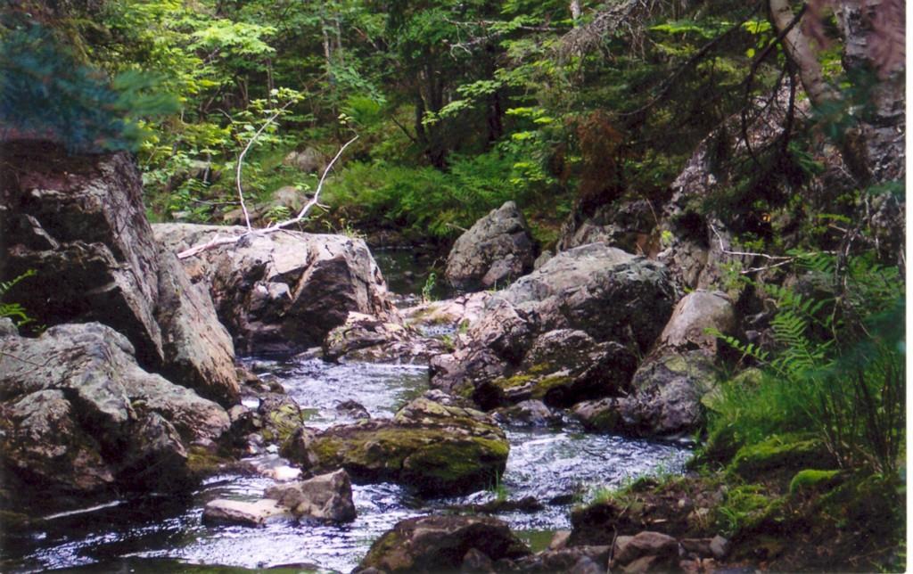 Lot 3-1 Mill River Road Harrington, ME 04643 - Photo 4 of 5 Photo