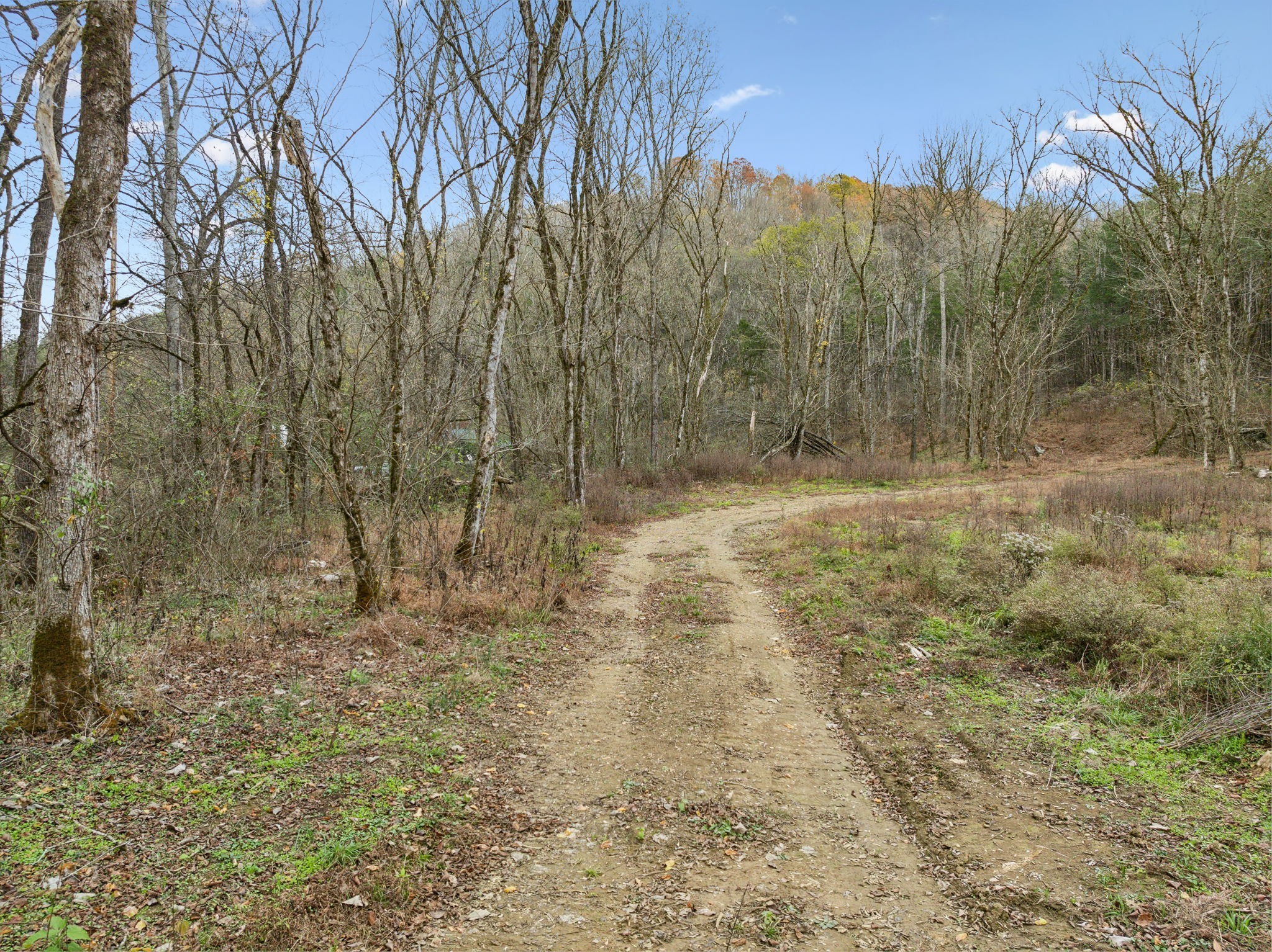 0 Long Branch Road Lancaster, TN 38569 - Photo 17 of 37 a view of a yard with trees in the background