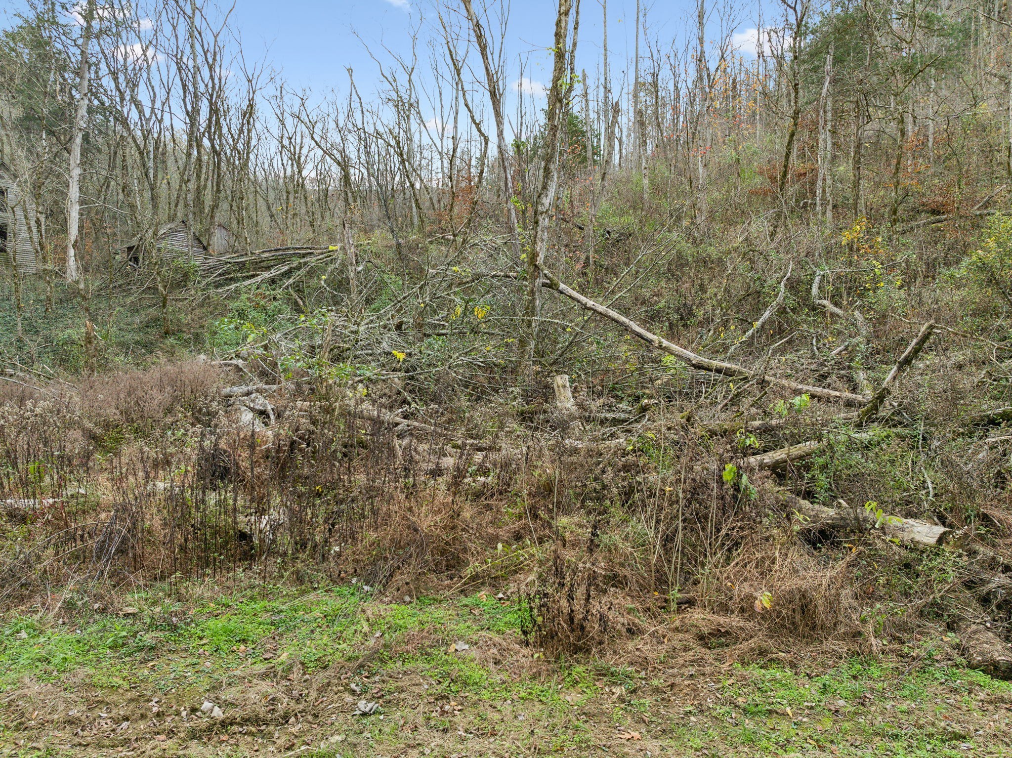 0 Long Branch Road Lancaster, TN 38569 - Photo 18 of 37 a view of a yard