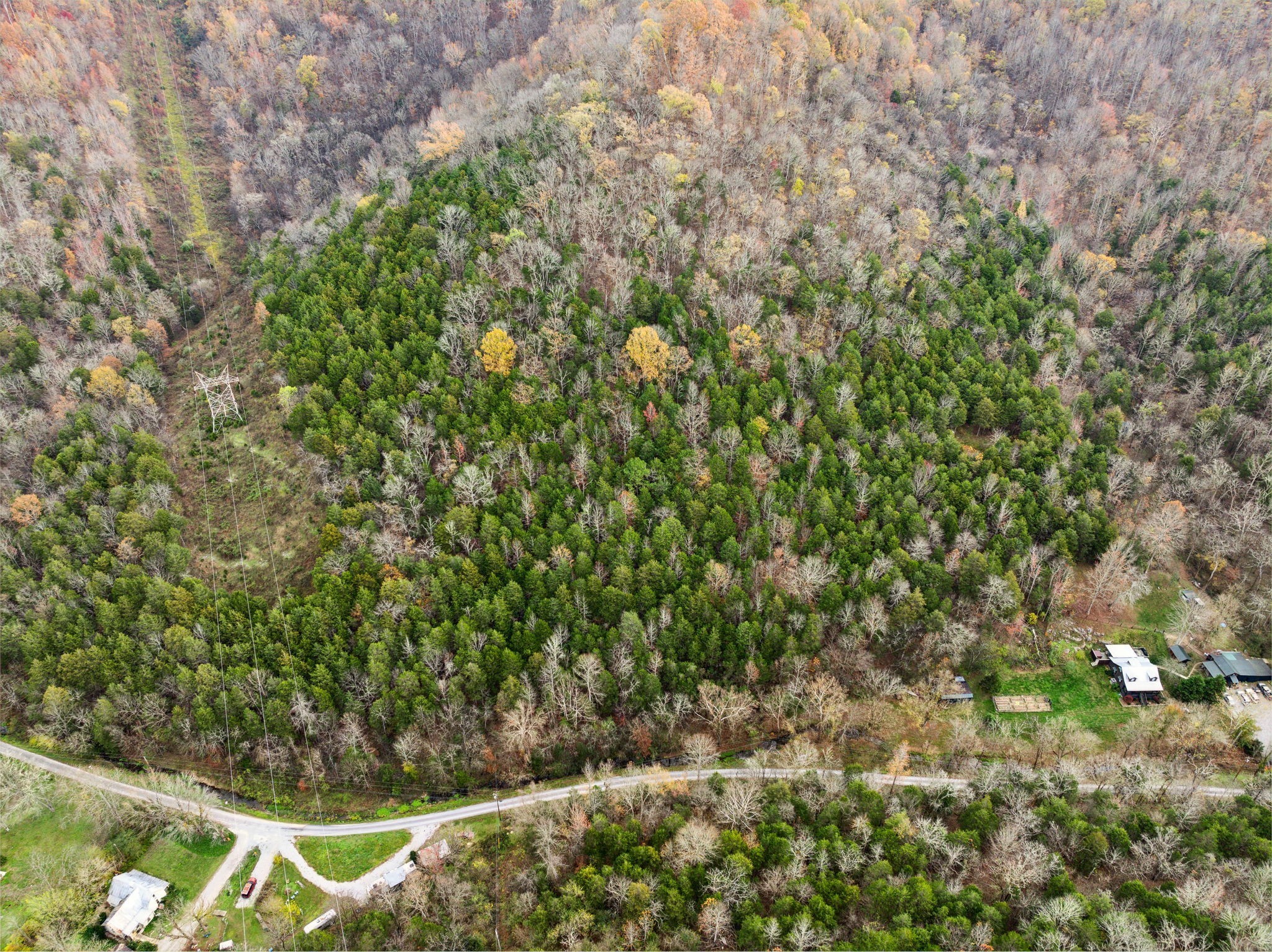 0 Long Branch Road Lancaster, TN 38569 - Photo 31 of 37 a view of a yard with plants