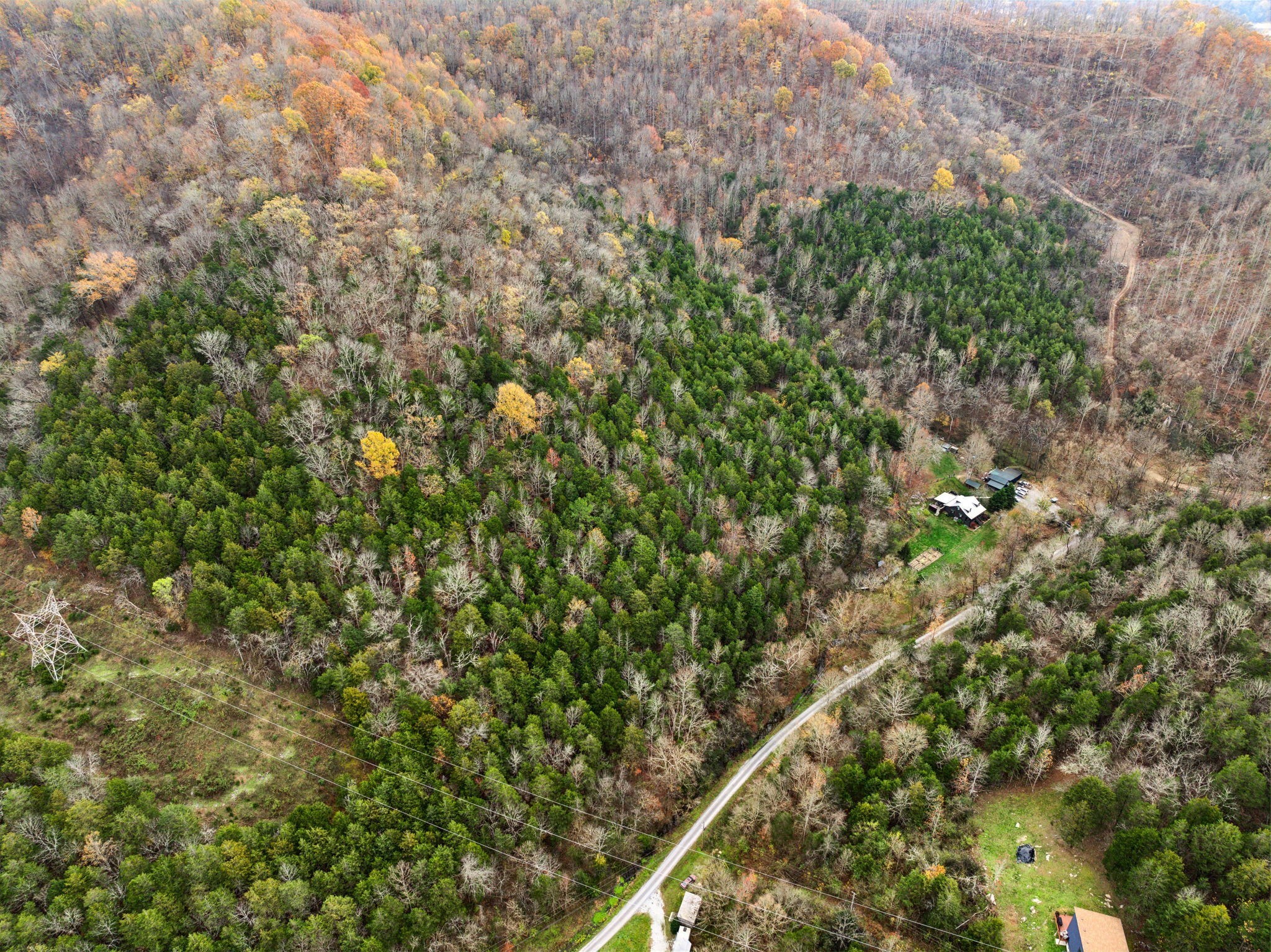 0 Long Branch Road Lancaster, TN 38569 - Photo 32 of 37