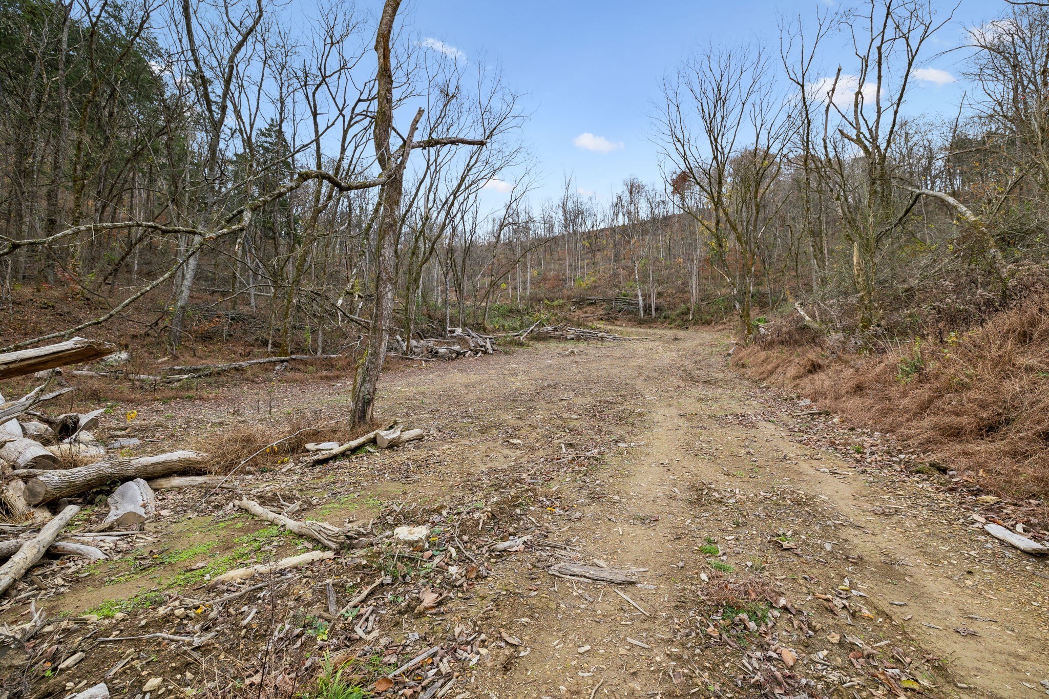 0 Long Branch Road Lancaster, TN 38569 - Photo 9 of 37 a backyard of a house