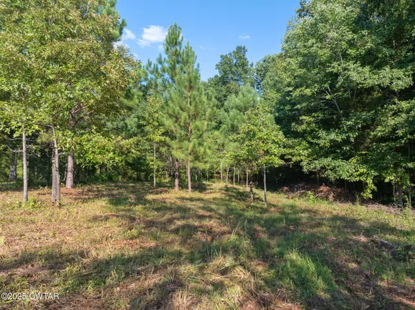 $29,900 | 0 Stan Lane, Cedar Grove, TN 38321