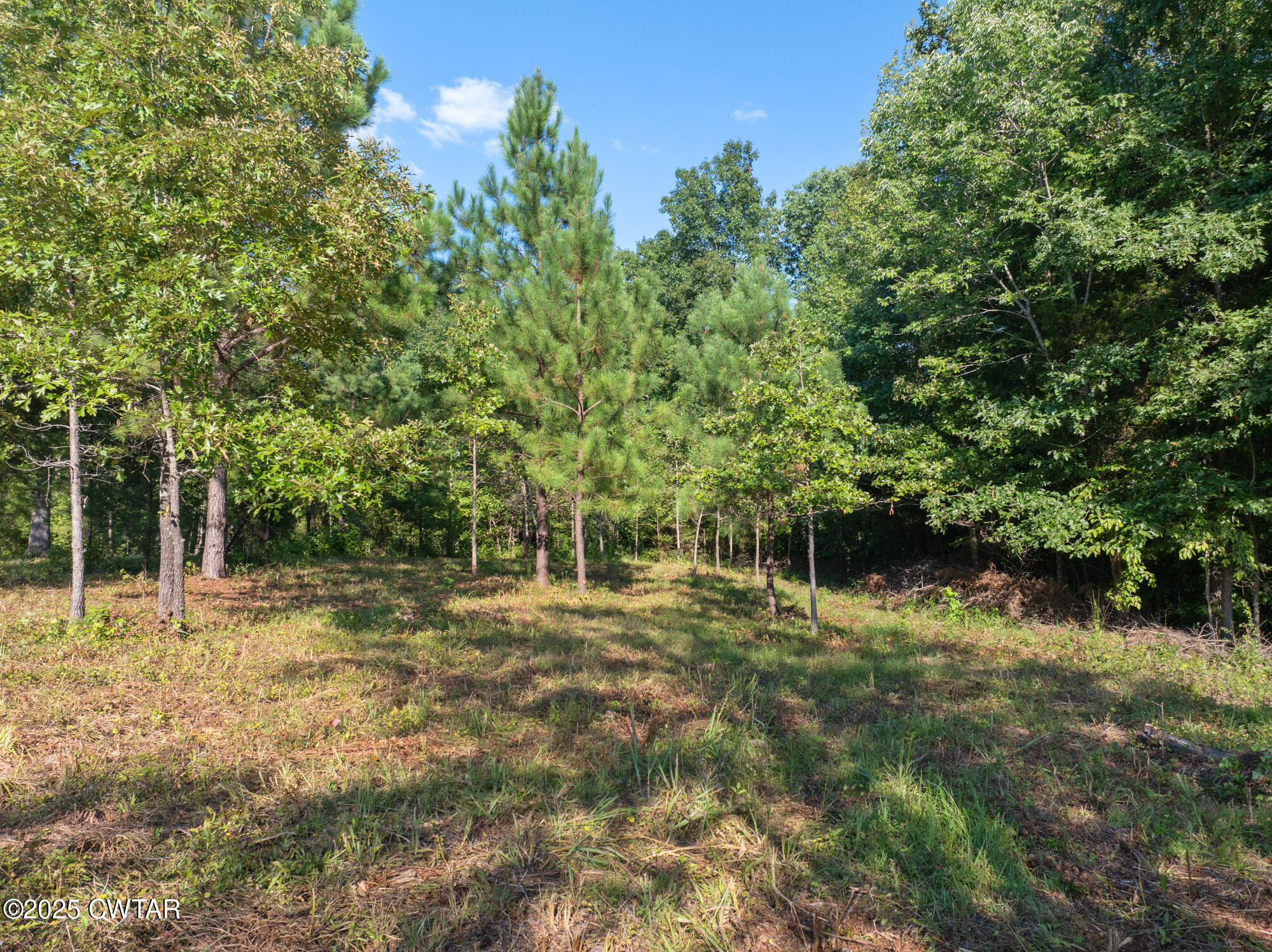 0 Stan Lane Cedar Grove, TN 38321 - Photo 2 of 8 a backyard of a house with lots of green space