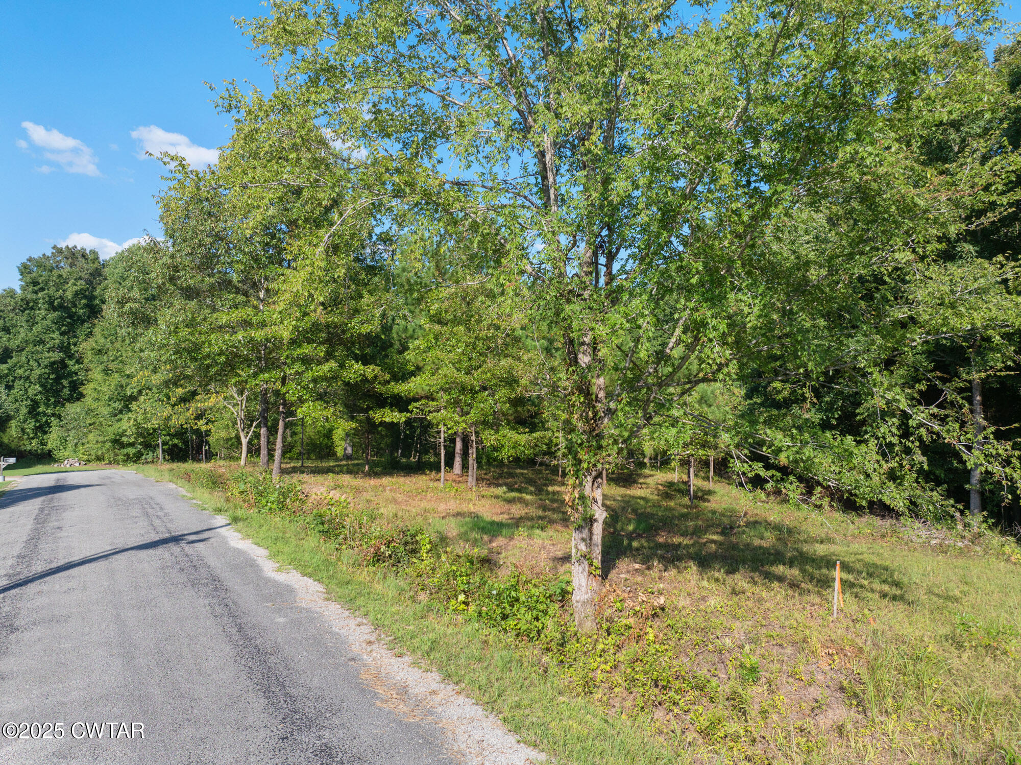 0 Stan Lane Cedar Grove, TN 38321 - Photo 3 of 8 a view of a yard with plants and trees