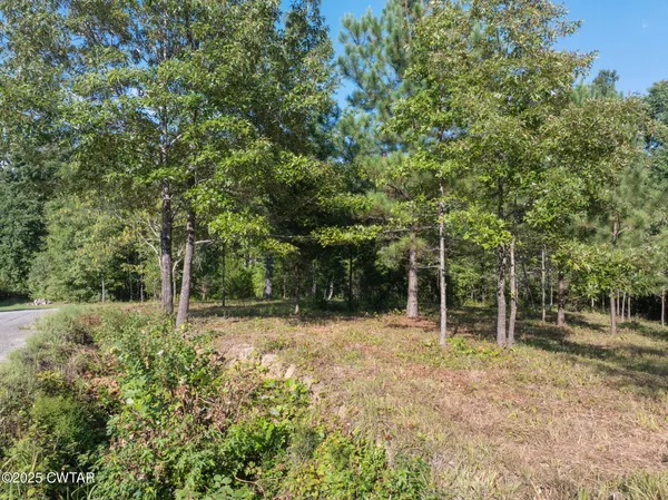 $29,900 | 0 Stan Lane, Cedar Grove, TN 38321