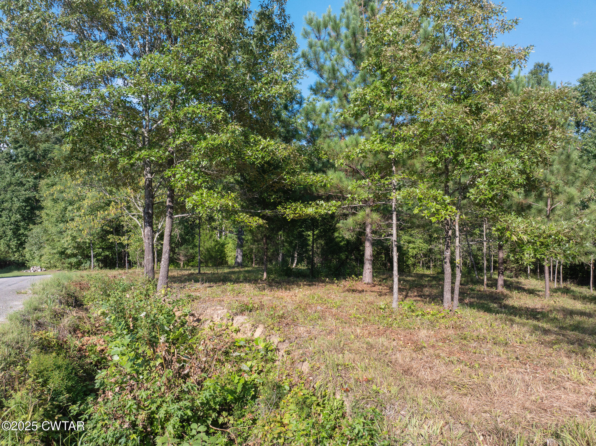 0 Stan Lane Cedar Grove, TN 38321 - Photo 4 of 8 a view of outdoor space with deck and yard