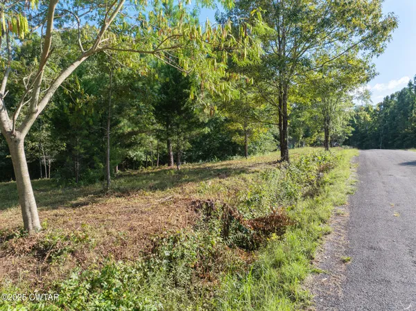 $29,900 | 0 Stan Lane, Cedar Grove, TN 38321