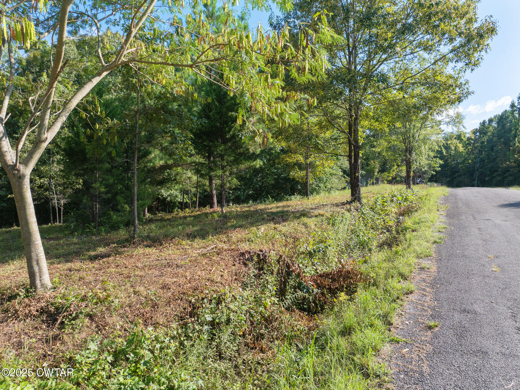 0 Stan Lane Cedar Grove, TN 38321 - Photo 5 of 8 a view of backyard with green space