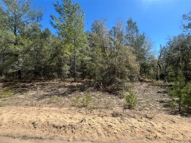 a view of a yard with trees in the background