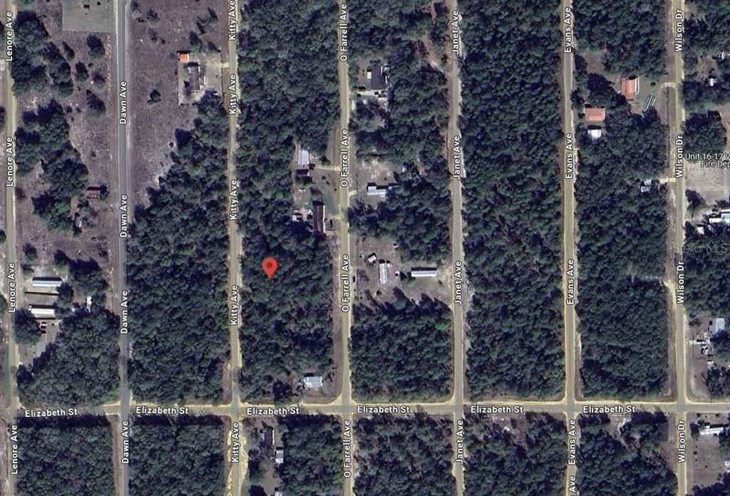 Kitty Interlachen, FL 32148 - Photo 8 of 11 view of a outdoor space