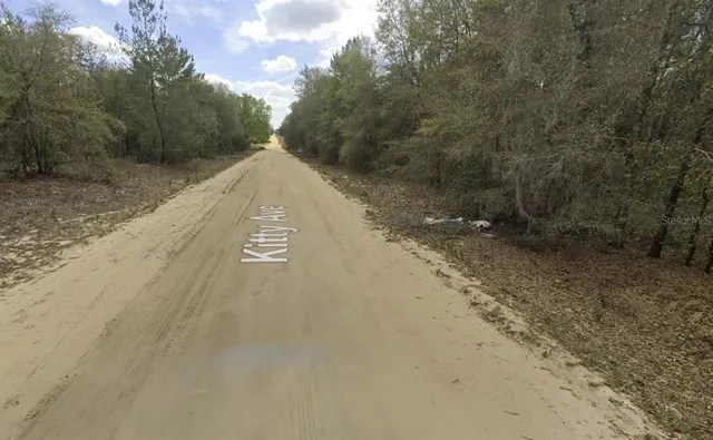 a view of a road with trees in the background
