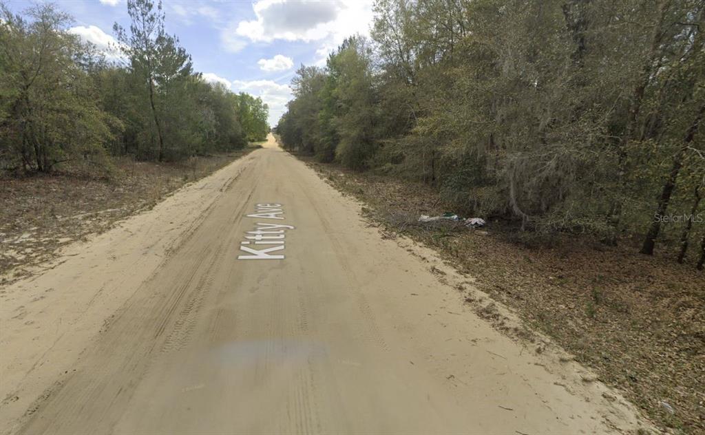 Kitty Interlachen, FL 32148 - Photo 9 of 11 a view of a road with trees in the background