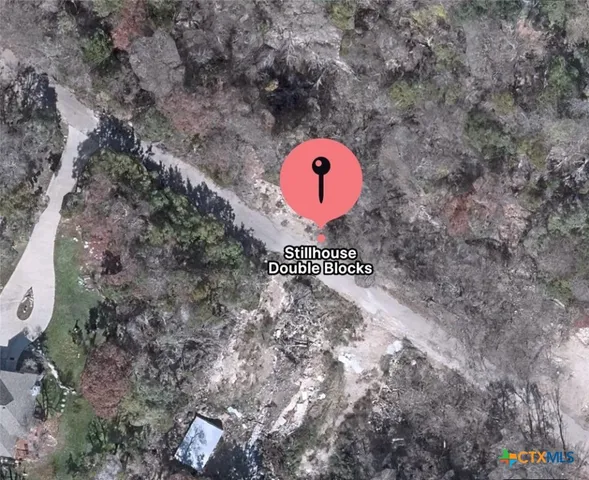 a view of a dry yard