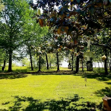 a view of yard with swimming pool