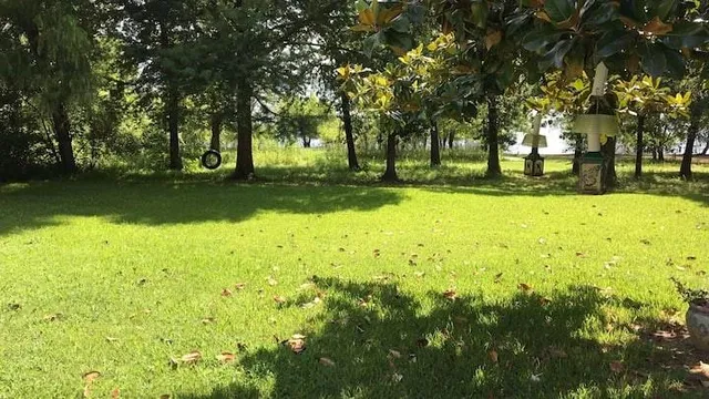 a view of yard with green space and trees