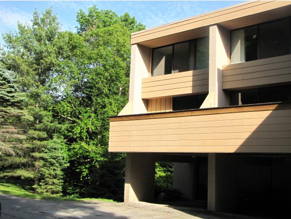 1229 Notchbrook Road, Unit 20CS Stowe, VT 05672 - Photo 4 of 18 Gallery Image 4
