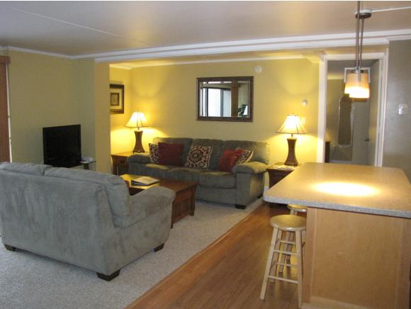 1229 Notchbrook Road, Unit 20CS Stowe, VT 05672 - Photo 6 of 18 Gallery Image 6